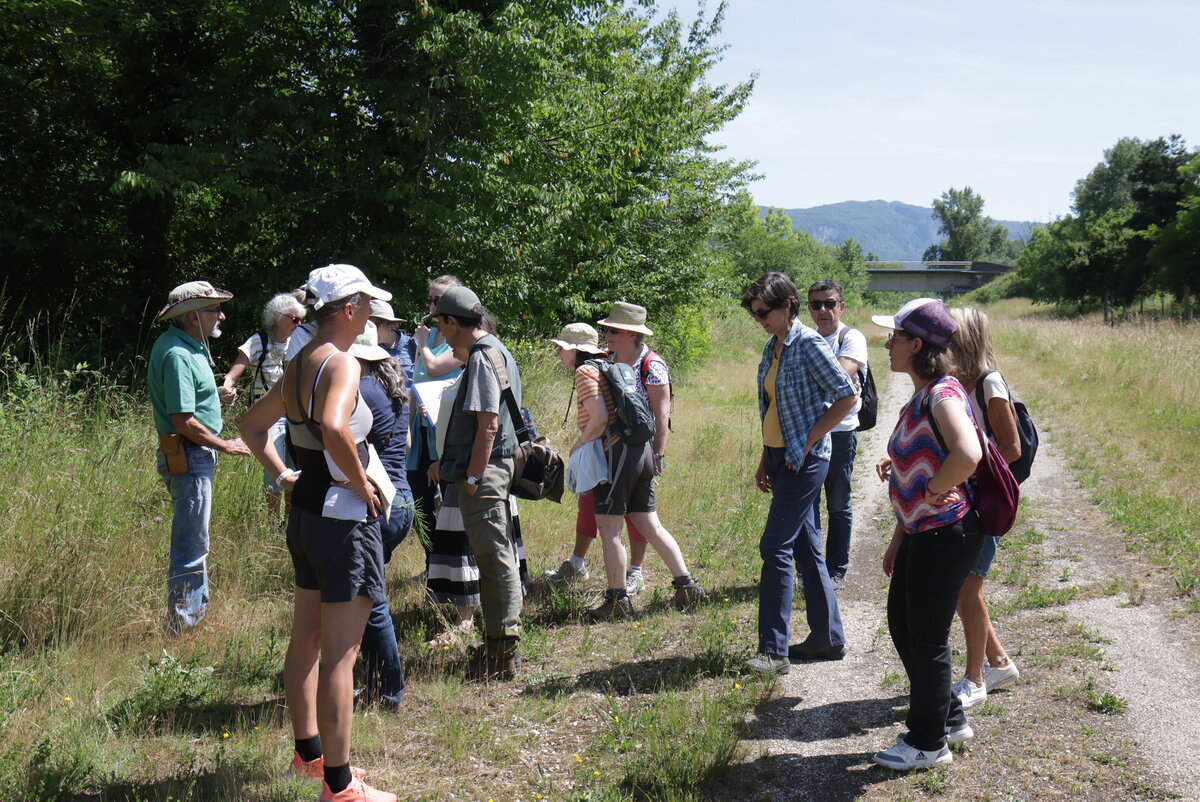 Le groupe en chemin lors de la balade botanique à Brens, 6 juin 2026